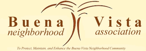 BVN Logo